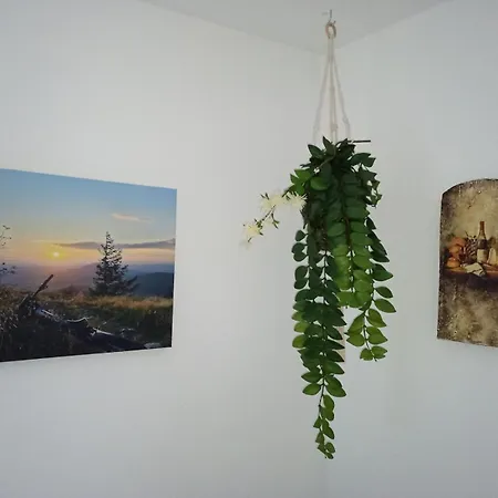 Am Schlossbrunnen Appartement